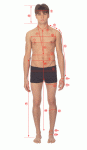body_measurement_2.gif